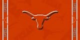 NCAA Texas Longhorns Fiber Reactive Beach Towel
