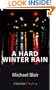 A Hard Winter Rain: A Joe Shoe Mystery
