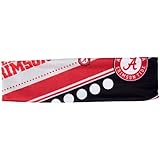 NCAA Florida State Seminoles Stretch Headband