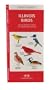 Illinois Birds: An Introduction to Familiar Species (State Nature Guides)