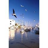 Discover the Boating World: How to Buy a Boat, Boat Reviews on Types of Boats, from Pontoon Boats to Small Fishing Boats. The Ultimate Guide to Boaters ... Fun Boating Activities for the Whole Family