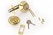 Lion Locks LICO0705 Tulip Entry Door Knob and Keyed Alike Single Cylinder Deadbolt, Polish Brass