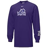 Nike Texas Christian Horned Frogs Purple Classic Logo Long Sleeve T-shirt