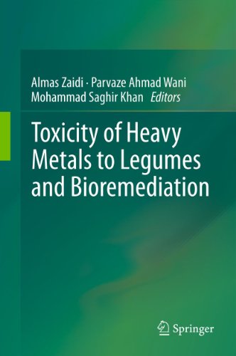 Toxicity of Heavy Metals to Legumes and Bioremediation