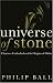Universe of Stone: Chartres Cathedral and the Triumph of the Medieval Mind