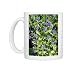 Photo Mugs of APP-4102 Blue Pimpernel from Ardea Wildlife Pets