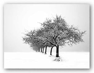 Winter Tree Line I by Ilona Wellman