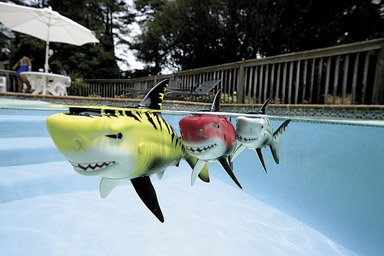 Buy SWIMWAYS 17214 BATTLE SHARK POOL TOY