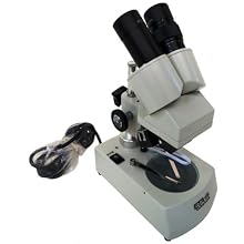 Stereo Microscope