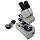 Stereo Microscope