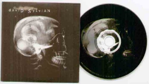 David Sylvian Photo 4