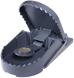 SWISSINNO 1 023 001W SuperCat Rattenfalle 1 Stück inkl. Naturköder