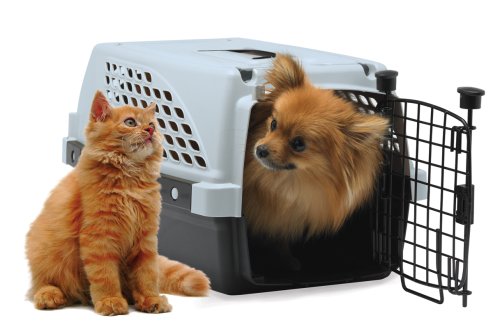 Firstrax 23-Inch Pet Suites Double Door Multi-Use Pet Kennel