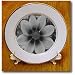 Black and White Cosmos Flower - 8 Inch Porcelain Plate