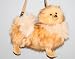   - Fuzzy Nation Pomeranian