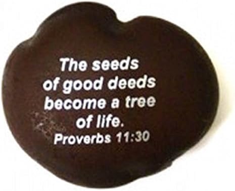 The Seeds Of Good Deeds Become A Tree Of Life. Proverbs 11:30 Blessed Sea Beans Imprinted With Inspirational Quotes