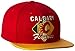 NHL Men's CCM Diamond Flat Brim Snapback Cap