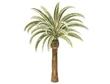 Wallies Wallpaper Cutout, Palm Trees