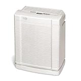 19' X 21' Room Air Purifier