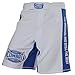 Combat Sports Training MMA Boardshorts