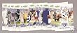 2008 Score Indianapolis Colts Team Set of 13 cards including Peyton Manning, Reggie Wayne and more!
