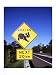 Close-up of a crossing sign on the road side, Australia Poster (18.00 x 24.00)