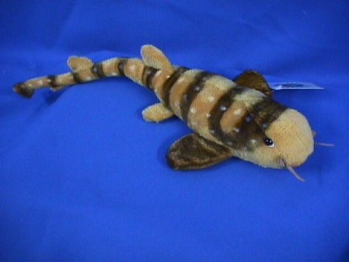 Wild Life Artist Bamboo Shark