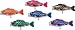 Wind up Swimming Fish Toy