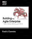 Building the Agile Enterprise: With Soa, Bpm and Mbm (Mk/Omg Press)