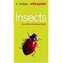 Insects (Collins Wild Guide)