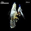 Falcon (Deluxe Version)