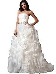 Fitted Beaded Organza   Ball Gown  Dress with a Chapel Train 