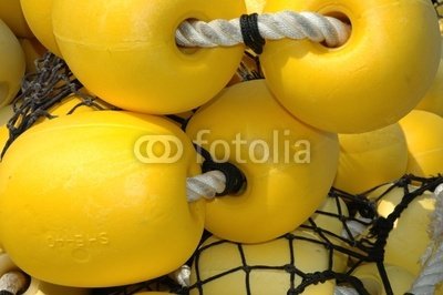 Wallmonkeys Peel and Stick Wall Decals - Filets De Pêche - 18