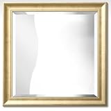 Review PosterPanda.com  / 12x12 Apollo Wood Frame - Wall Mirror