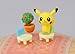 Pokemon Poke pita pita pita set (japan import)