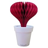 自然蒸発式加湿器 Lovepot レッド