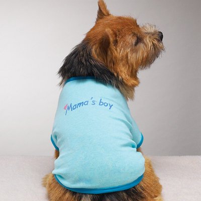 Casual Canine Mama's Boy Tee (Small)