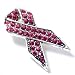 Breast Cancer Pink Ribbon Brooch Pin