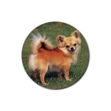 Chihuahua Rubber Round Coaster (4 pack)