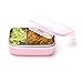 Steeltainer Leak-proof Stainless Steel Compact Size Container (Pink)