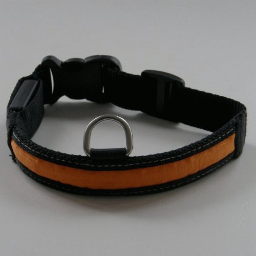 2-TECH LED Premium Hundehalsband Gr. L: 43-53 cm ORANGE