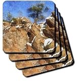 Colorado Mountains Rocky Pine - Set Of 8 Coasters - Soft