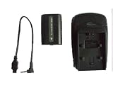 Sony FH70 Replacement Li ion Battery & Charger for Digital camera/camcorder models Handycam DCR DVD103 DVD105 DD108 DVD203 DVD205 DVD305 DVD308 DVD403 DVD405 DVD408 D505 DVD508 DVD92 DCR-HC20 HC21 HC26 HC28 HC30 HC32 HC36 HC38 HC40 HC42 HC44 HC46 HC48 HC65 HC85 HC96 DCR-SR100 SR200 SR300 SR40 SR42 SR60 SR62 SR80 SR82 HDR-CX7 HC3 HC5 HC7 SR5 SR7 UX5 UX7 HDR-UX3E HDR-UX5 HDR-UX5E HDR-UX7 HDR-UX7E HDR-UX19E HDR-UX9E & more