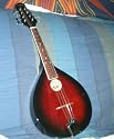 Maestro solid body acoustic mandolin