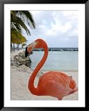 Pink Flamingo on Renaissance Island, Aruba, Caribbean Framed Art Poster Print by Lisa S. Engelbrecht, 39x49