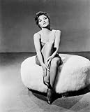 GINA LOLLOBRIGIDA - B&W photograph in a choice of 4 sizes