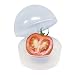 Kitchen & Housewares : Stay Fresh Tomato and Onion Container