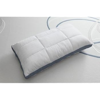 Ipedic Quilted Classic Memory Foam Pillow King Kipschulze