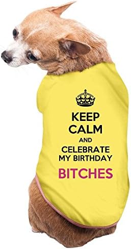 PuppyFasion Keep Calm And Celebrate My Birthday Bitches Cute Pet Dog Vest Yellow