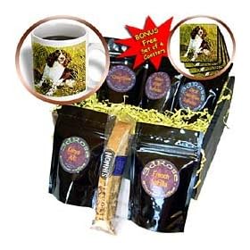 Dogs English Springer Spaniel - English Springer Spaniel - Coffee Gift Baskets - Coffee Gift Basket